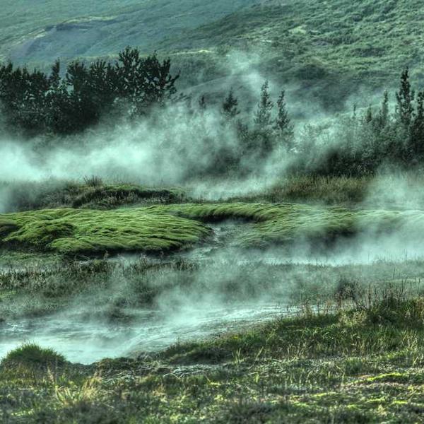 Undergraduation Admissions Alert